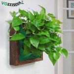 Creative Decorative Hanging Pots Hydroponic