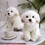 Real Life Bichon Frise Puppy Stuffed Teddy Dog Plush Toy Cute Simulation Pets Fluffy Baby Dolls Birthday Gifts for Children